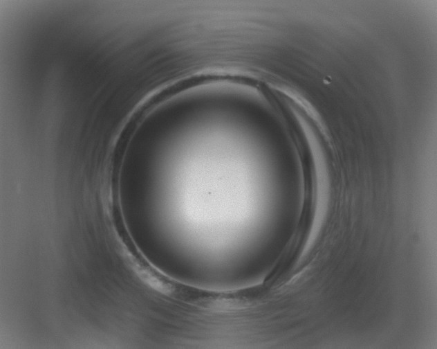 X0000083050984200702091433