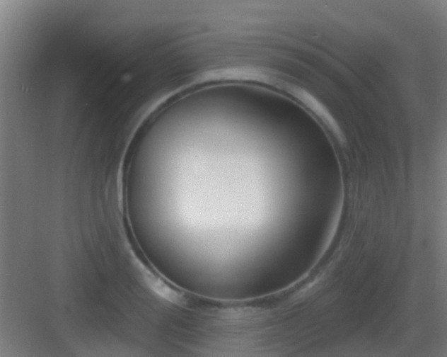 X0000083050988200702091433