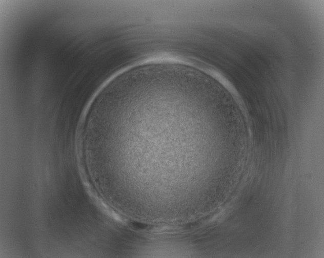 X0000083051008200702091433