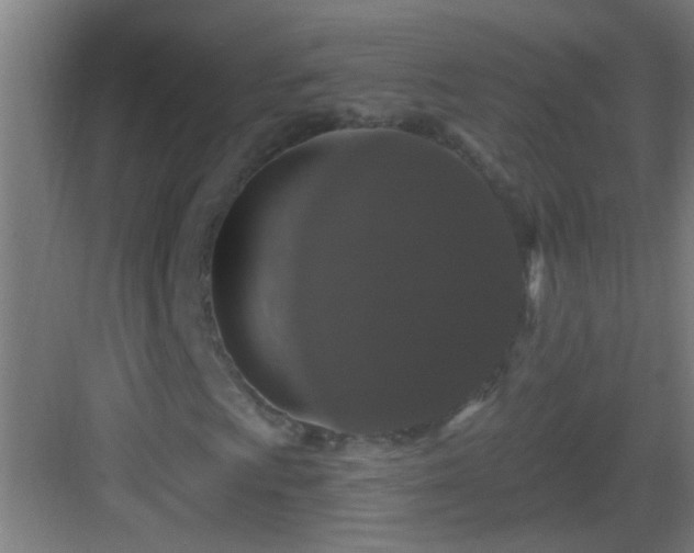 X0000083051009200702091432