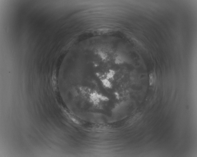 X0000083051011200702091432