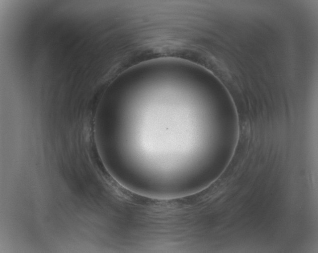 X0000083051012200702091432