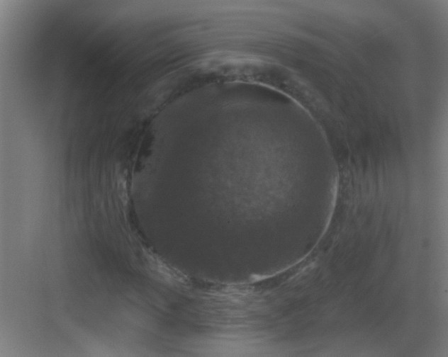 X0000083051013200702091432