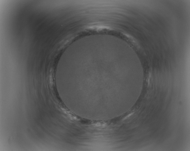 X0000083051014200702091432