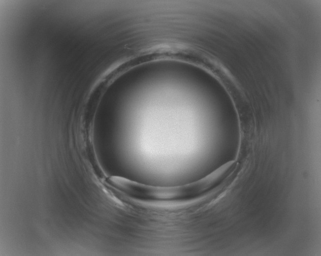 X0000083051018200702091432
