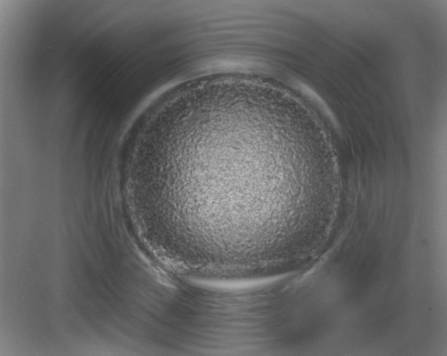 X0000083051019200702091432