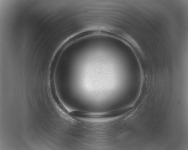 X0000083051020200702091432