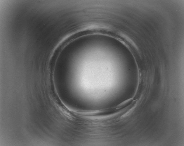 X0000083051021200702091432