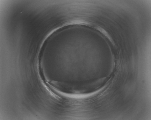 X0000083051024200702091432