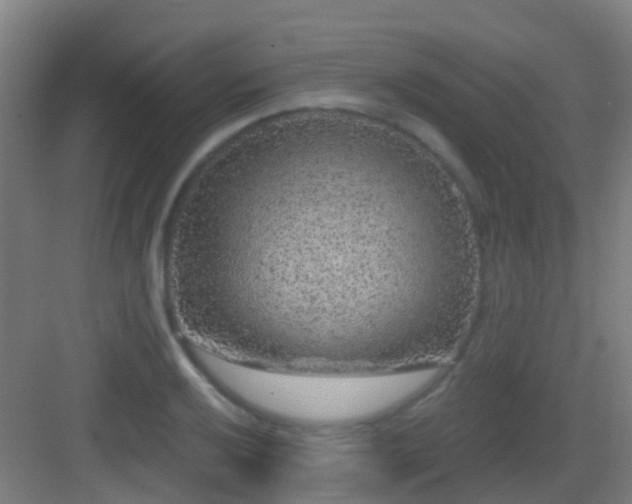 X0000083051032200702091433