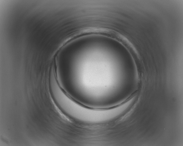 X0000083051033200702091433