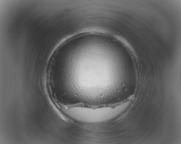 X0000083051040200702091433