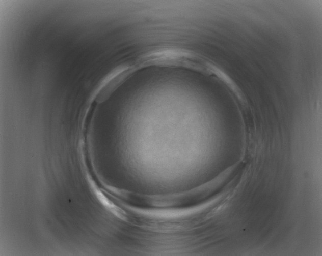 X0000083051042200702091433