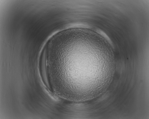 X0000083051043200702091433