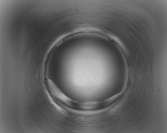 X0000083051046200702091433