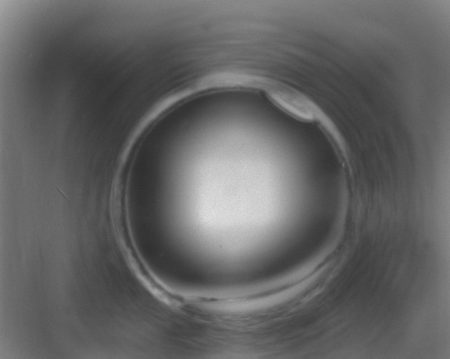 X0000083051053200702091433