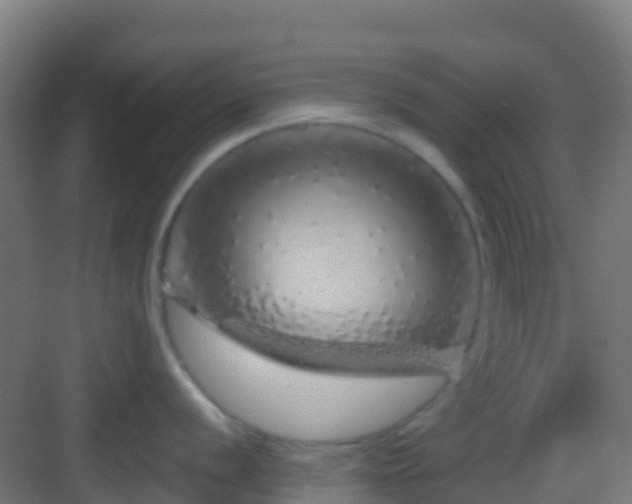 X0000083051056200702091433