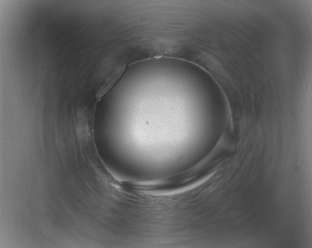 X0000083051058200702091432