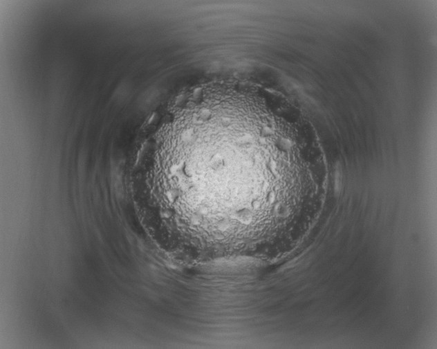 X0000083051059200702091432