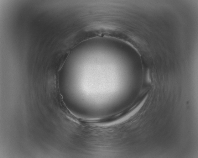 X0000083051061200702091432