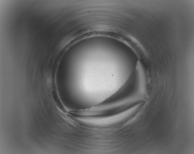 X0000083051065200702091432