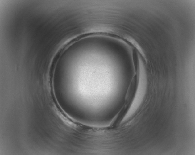 X0000083051072200702091432