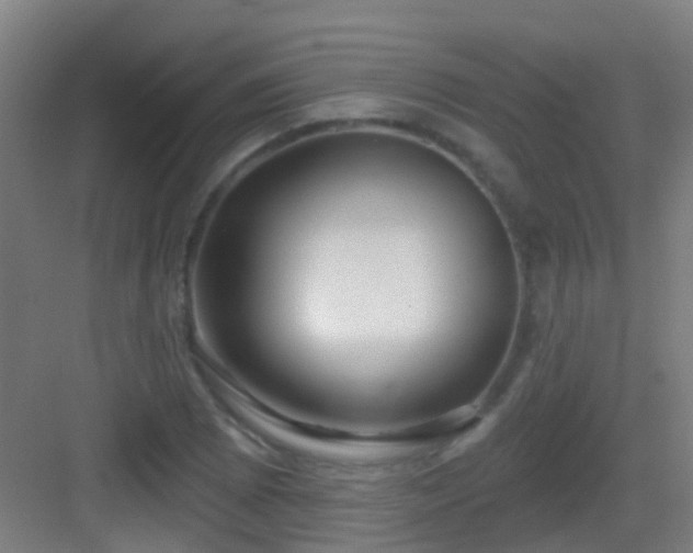 X0000083051073200702091432