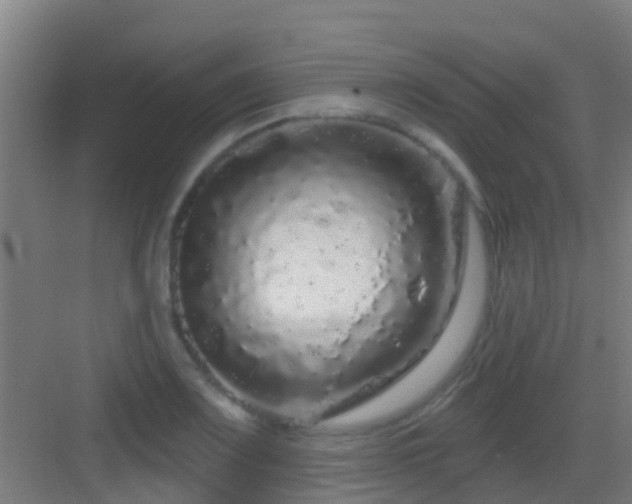 X0000083051083200702091432