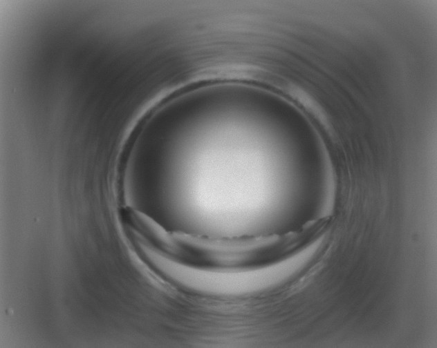 X0000083051085200702091432