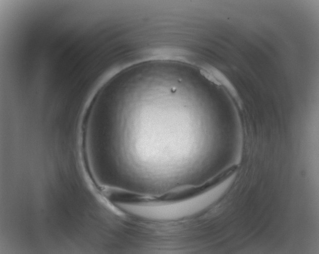 X0000083051096200702091432