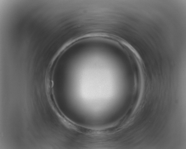 X0000083051101200702091431