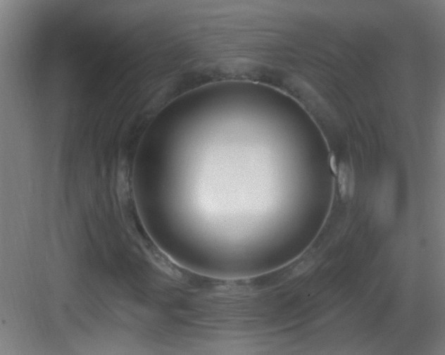 X0000083051107200702091431