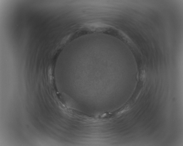 X0000083051108200702091431