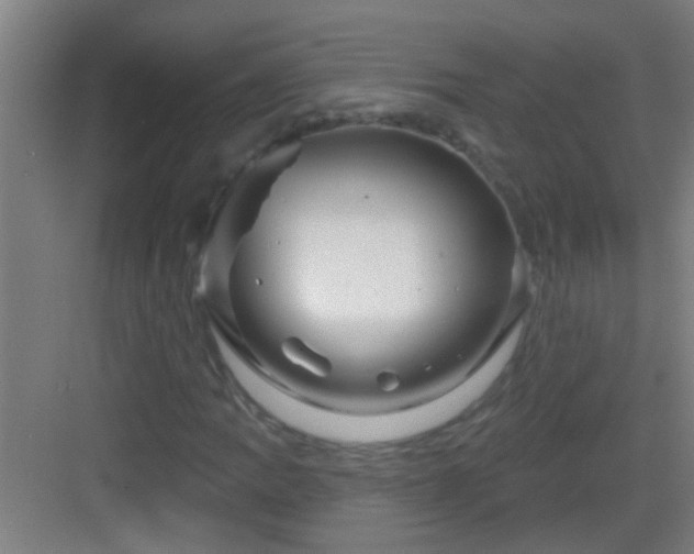 X0000083051109200702091431