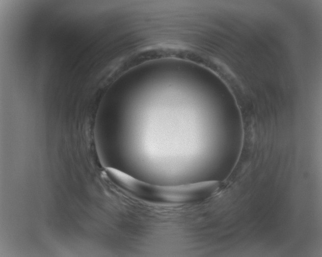 X0000083051110200702091431