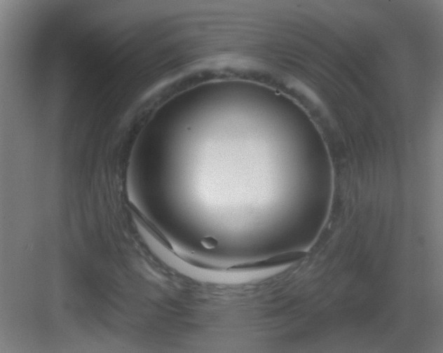 X0000083051112200702091431