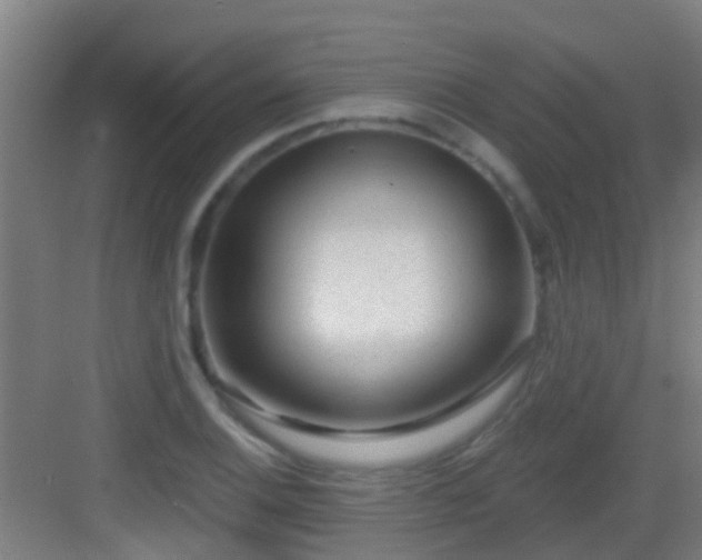 X0000083051124200702091431