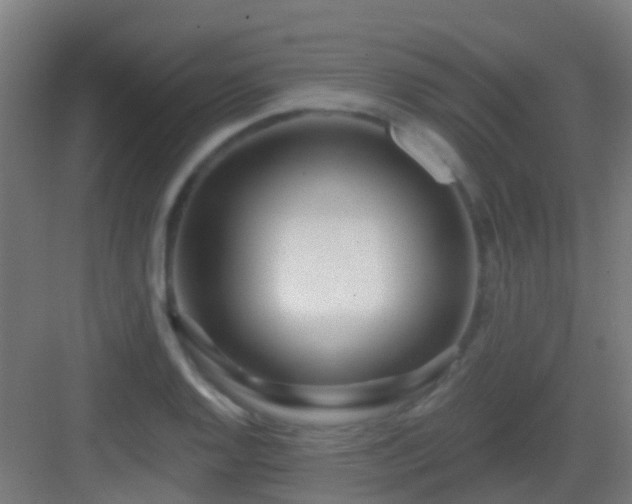X0000083051128200702091431