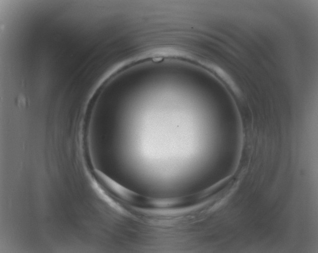 X0000083051134200702091431