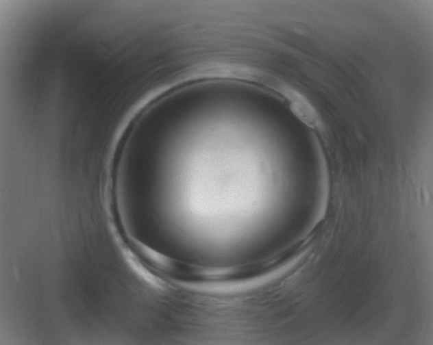 X0000083051136200702091431