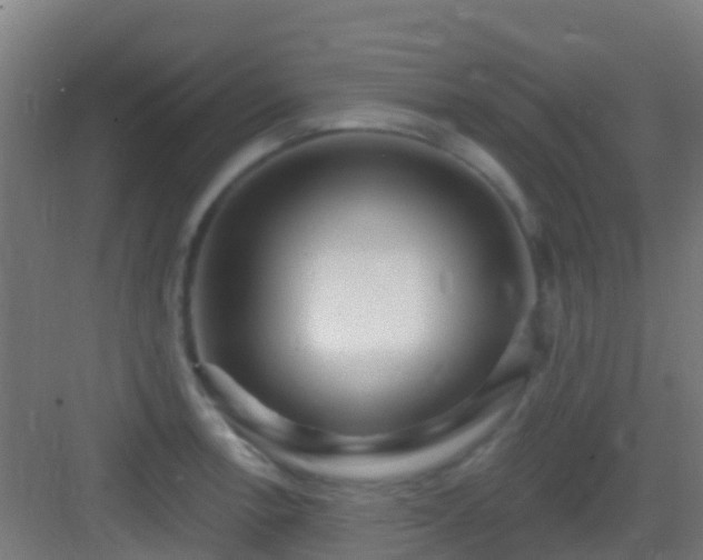 X0000083051138200702091431