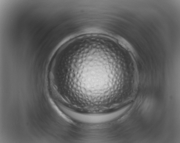 X0000083051142200702091431