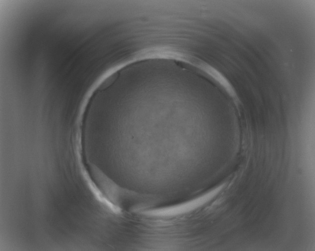 X0000083051144200702091431
