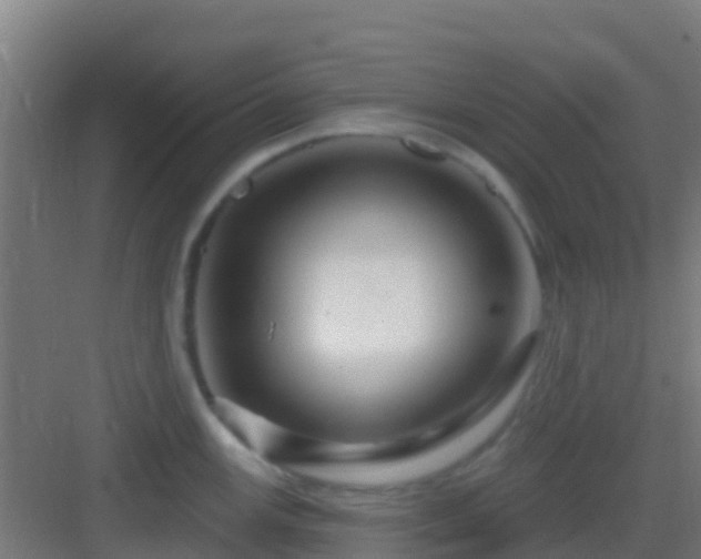 X0000083051147200702091431