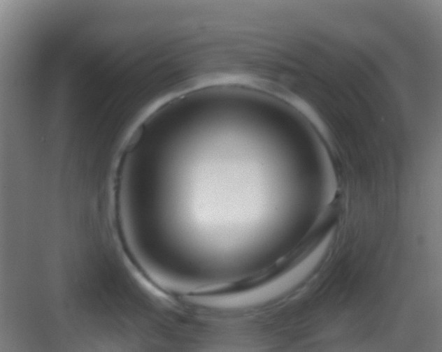 X0000083051151200702091431