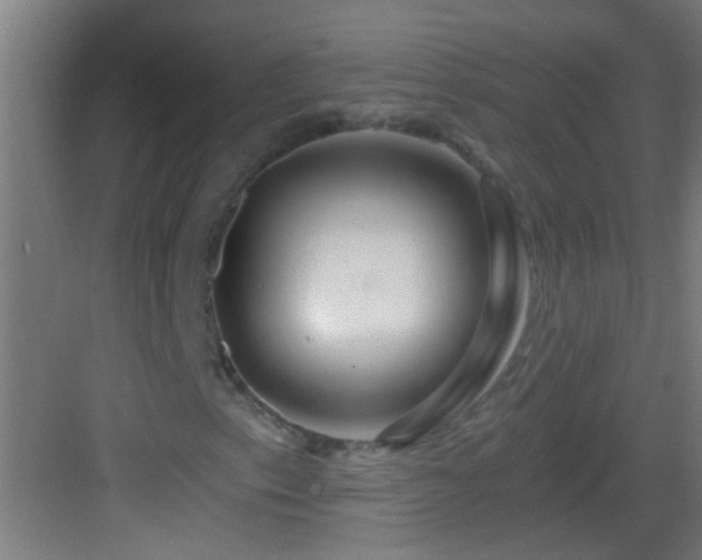 X0000083051153200702091431
