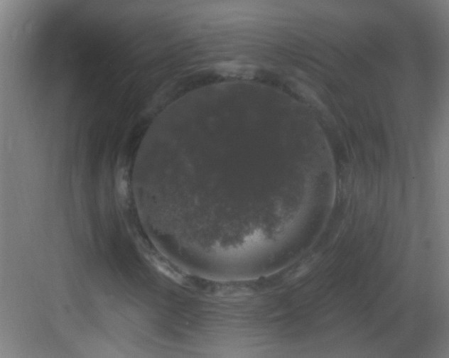X0000083051154200702091431