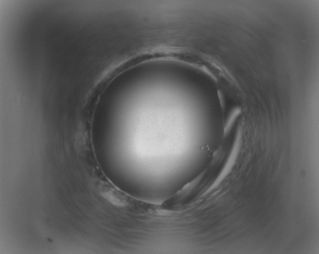 X0000083051160200702091430