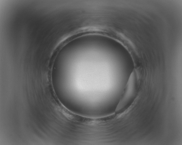 X0000083051166200702091430