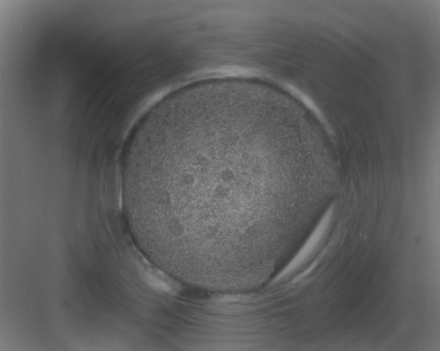 X0000083051171200702091430